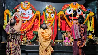 Divine Sandhya Alati Darshan || Sri Jagannath Mahaprabhu || Jay Jagannath || RCM Jagannath Temple