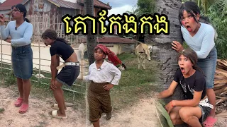 គោកែងកង ពីBrandឡេខៀវ ,funny 😆
