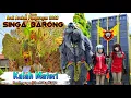 Lagu SINGA BARONG-KALAH MATERI❗ Panguragan❗season5❗arak arakan singa depok panguragan jumat 28 april 2023