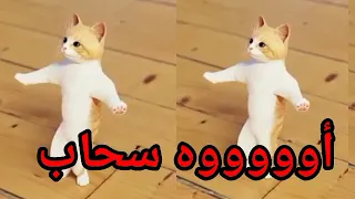 اغنية باسم سحاب سوسو الحلوة السعودية العراق تركيا ابوظبي قطر مسقط البحرين الجزائر جده دبي الكويت 