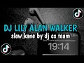 Download Lagu DJ LILY ALAN WALKER ❗️SLOW KANE BY DJ CS TEAM | VIRAL TIKTOK 2025