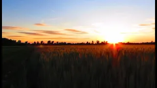  وقران الفجر   حالات واتس   دندنها