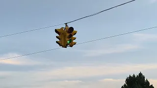                                                  دندنها