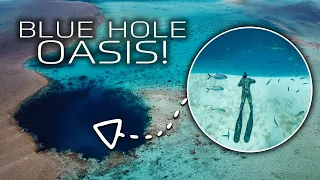 The MOST INSANE place we’ve EVER dived… (Sailing Popao) Ep.21