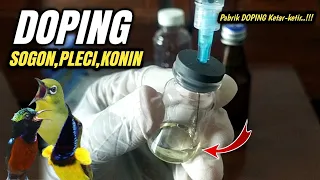 Download Bocor ke Publik Orang ini beberkan rahasia DOPING burung KELAS DEWA‼️ MP3