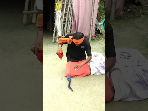 नाग नागिन 🙏 स्पेशल वीडियो 🙏🐛❤️#viral #सर्च#video #ट्रेंडिंग #