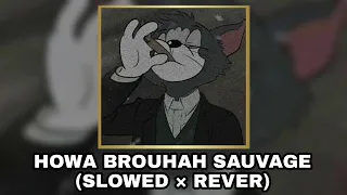                                       دندنها