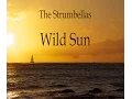 Download Lagu The Strumbellas - Wild Sun (LYRICS)