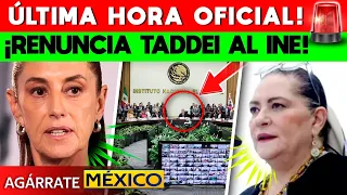 BOMBAZO! RENUNCIA TADDEI AL INE! PREPARAN NUEVO PRESIDENTE.