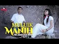 Download Lagu Pirin Jambak ft Putri Chantika - MULUIK MANIH Dendang Minang