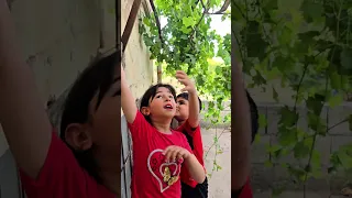 حمودة رح يكب الوظة لاا حرام عليكم تطقوني                                لايك  اكسبلور دندنها
