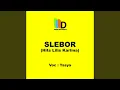 Slebor Hits Lilis Karlina