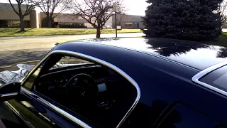 Equus bass 770