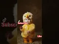 Download Lagu piu piu piu song || piu piu piu remix #piupiu #piupiudance #fashion #babydance #shorts