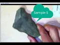 Fossil Lab 01 Activity 1 6