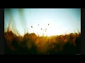 Dinka   Native Original Mix