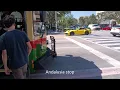 Coral Gables By Trolley Ride