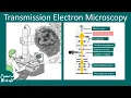Transmission electron microscopy TEM Principles and application of TEM limitations of TEM