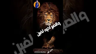 اسد وقال للجمل نفسي اسالك سؤالين     دندنها