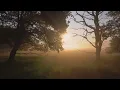You Waited ||Travis Greene || 1-Hour Loop