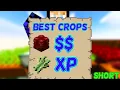 What Is The Best Crop For Xp Or Money Hypixel Skyblock