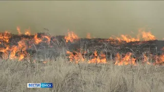 Из-за жары в Омскую область вернулись лесные пожары