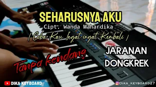 Download Seharusnya aku ( coba kau ingat ingat kembali ) dongkrek tanpa kendang MP3