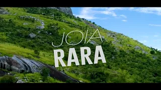 yuri da cunha j ia rara