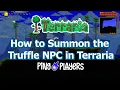 How to Summon the Truffle NPC in Terraria Easy Guide