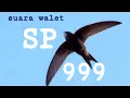 Lagu SP 999