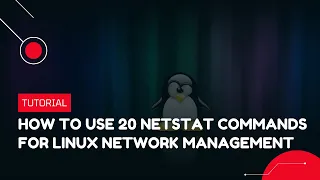 How to use 20 Netstat commands for Linux Network Management VPS Tutorial