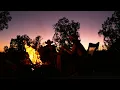 Western Camp 🤠 Best Country Music Playlist | 1 Hour of Cowboy & Western Songs