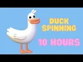 Download Lagu Duck Spinning to Fluffing a Duck 10 Hours