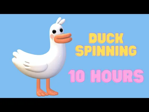 Download MP3 Duck Spinning to Fluffing a Duck 10 Hours