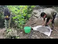 Download Lagu To have water for daily life on the farm, Hoang took cement to strengthen the water pipes at Source