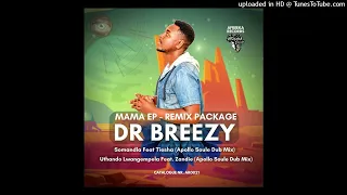 dr breezy feat tiesha somandla apollo soule dub mix 