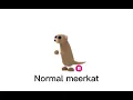 My offer for a neon meerkat Am I overpaying offer closed