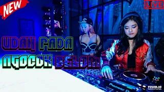 Download DJ UDAH PADA NGOCOK BELUM SPESIAL PARTY 2019 MP3