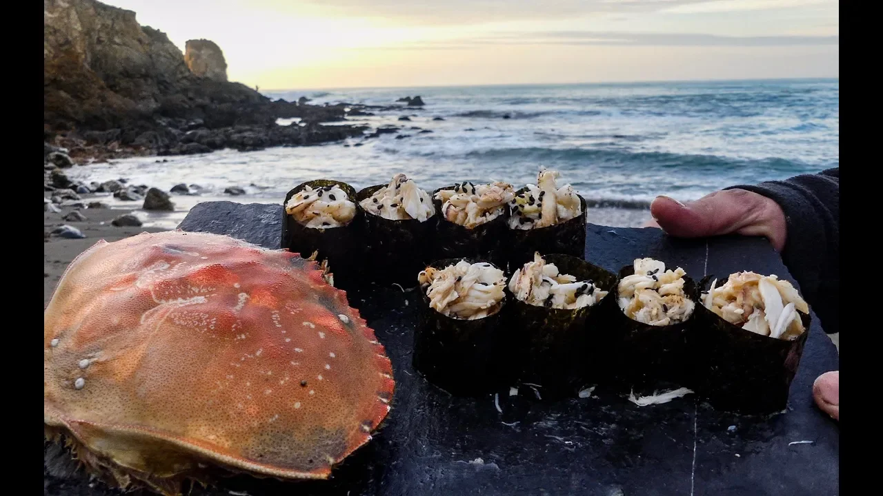 Catch and Sushi Series Ep. 4: Dungeness crab!