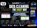 12 Learn Data Cleaning in Pandas Handle Missing Values Duplicates More