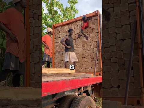 The Craziest Job in Ghana's Timber Industry 😳