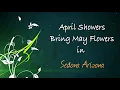 April Showers Bring May Flowers in Sedona Arizona