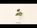 Oh Brother - Rosen Aus Plastik (Lyric Video)