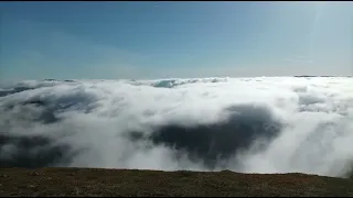                     دندنها