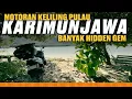 Download Lagu HARI 2 - EXPLORE UTARA KARIMUNJAWA | Dari Pantai hingga Hutan  | MSRG 2025