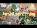 Moving Into my College Apartment University of Hawaii