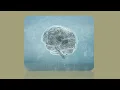 Hippocampus and Temporal Memory Formation