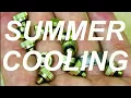 DIY Water Mist System for Summer - PVC Pipe Project
