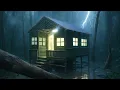 Download Lagu Camping Hujan Deras|| 3 Hari Membangun Shelter Dari Bambu Bersama Istri Tercinta