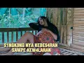 Lagi hamil tua malah disetubuhi setan - film pendek